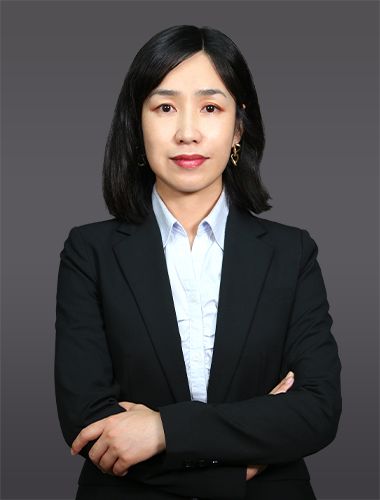 林嘉鑫—主任律师